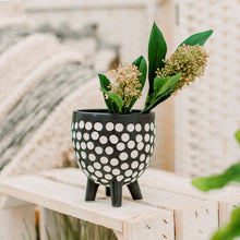 Load image into Gallery viewer, Spotted Planter on Legs
